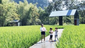 Children enjoy playing in front the "Loft Mirror" building among the rice fields of Asia.